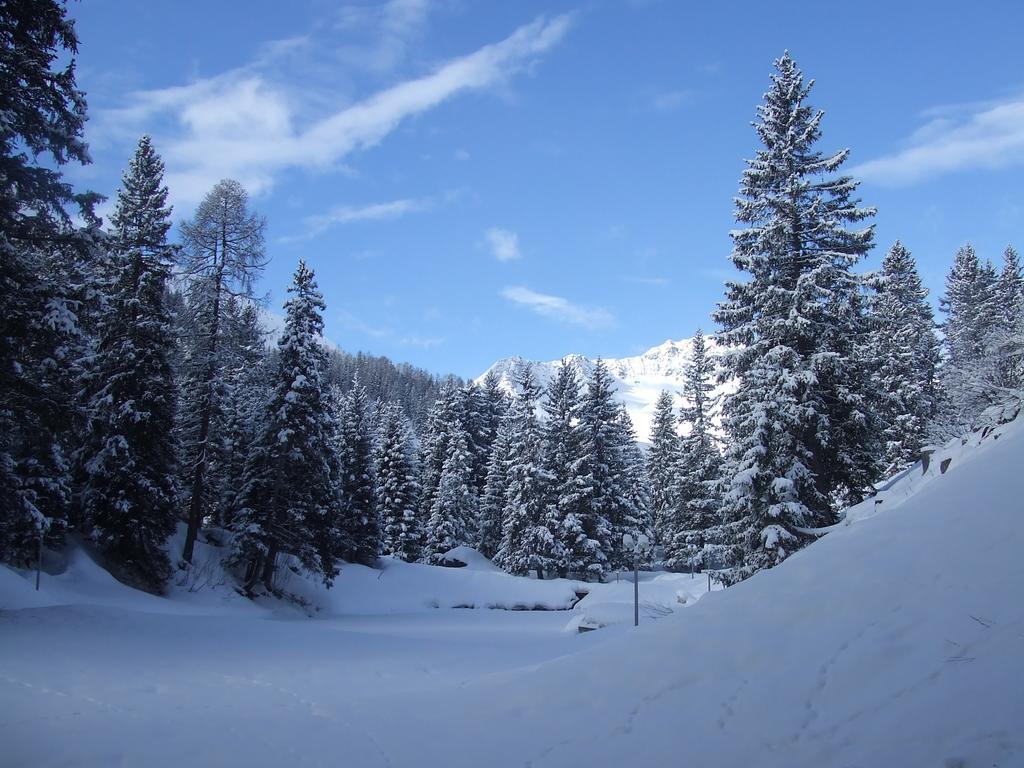 Appartement Rothornblick à Arosa Extérieur photo