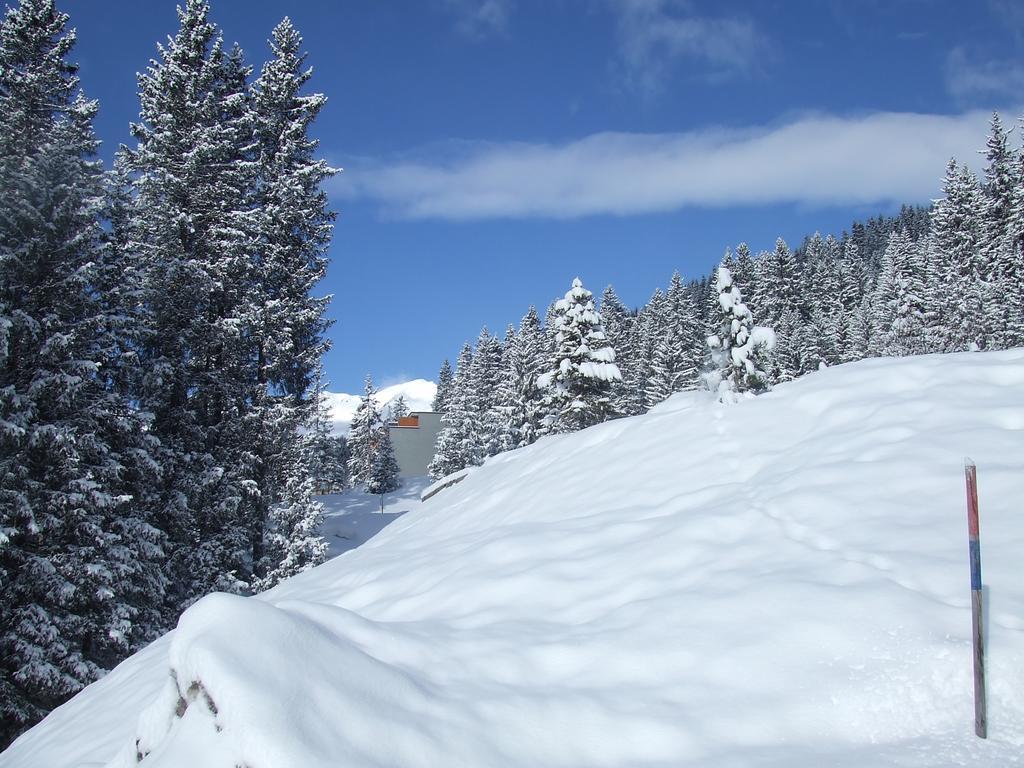 Appartement Rothornblick à Arosa Extérieur photo